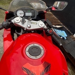 ヒョウスン250の画像