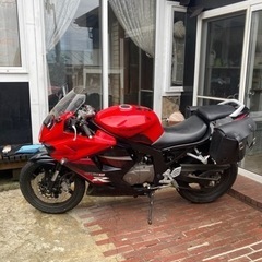 ヒョウスン250の画像