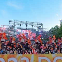 2024年どまんなか祭りに向けて😊