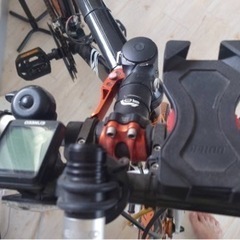 ドッペルギャンガー d19 rord PULSE