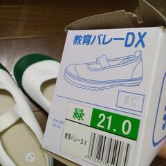 【新品未使用】教育バレーDX  上履きの画像