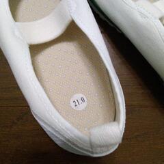 【新品未使用】教育バレーDX  上履きの画像