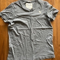 アバクロ tシャツ 3枚 XLの画像