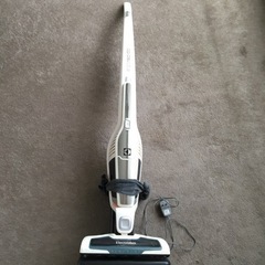 Electrolux ergorapidoスタンド掃除機の画像