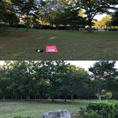 🧘‍♂️全身ストレッチヨガ🧘‍♀️大濠公園で Park Yoga を無料で開催します✨ - 福岡市