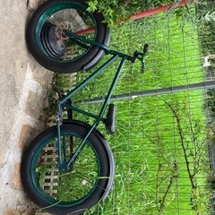 【ファットバイク】珍しい自転車