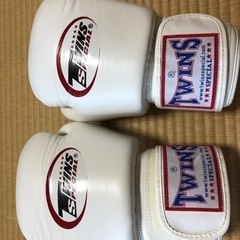 TWINS パンチンググローブ（値段変更）の画像