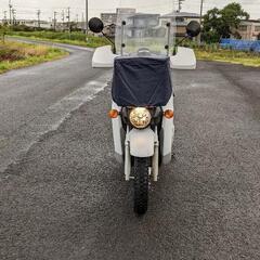ホンダ　ベンリィ　50cc 　水冷4サイクル　好調となります。の画像