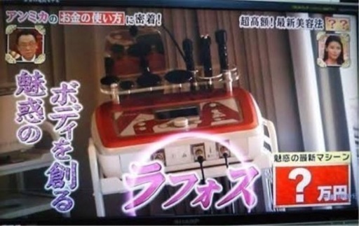 希少中古ラフォスプレミアム　取扱説明書、マニュアルブック付き