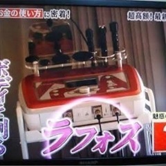 希少中古ラフォスプレミアム 取扱説明書、マニュアルブック付き