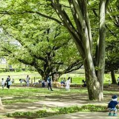 〔A/P〕【未経験OK！】町田市鶴間公園／公園管理スタッフ～～自然豊かな憩いの場を提供するお仕事です～の画像