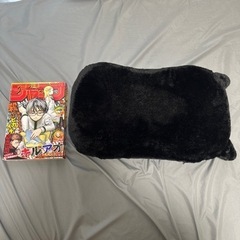 （引き渡し決定）猫クッション