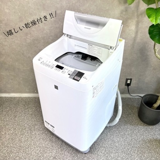 ☑︎ご成約済み? SHARP 嬉しい乾燥付き洗濯機 5.5kg✨ 爽やかなシルバーホワイト◎ 美品?