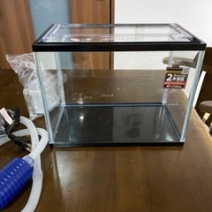 受け渡し決まりました　ガラス水槽　エアーポンプセット　ジェックス