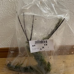 水草の画像