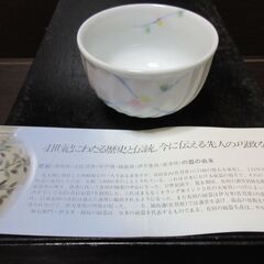 肥前　有田焼湯吞１０客セットの画像