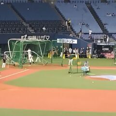 バファローズ応援しに球場に行きませんか？