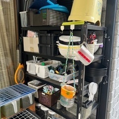 メダカ　容器　引退　メダカすくい　スーパーボール掬い一式の画像