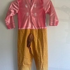 パウパトロール スカイの画像