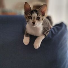 かわいすぎる2頭 − 愛知県