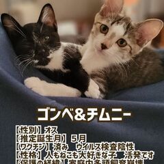 かわいすぎる2頭 - あま市