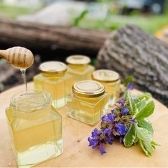 純粋生はちみつ！花粉無濾過・非加熱・砂糖給餌無し・薬剤不使用！