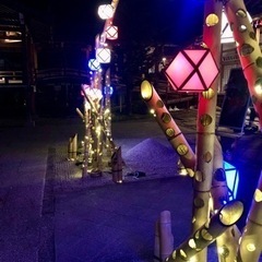 精神疾患の方、西教寺or竹林院へ一緒に行ってもらえませんか？ − 滋賀県