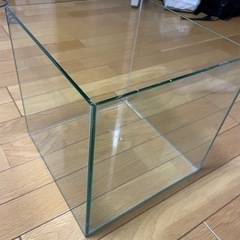 ［東京都江東区］水槽 ガラス 30 センチ 立方体 の画像