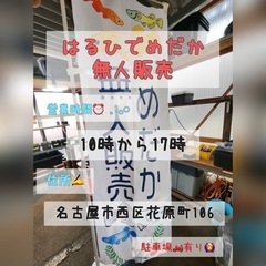 はるひでめだか無人販売☆⸝⸝⸝⋆- ̗̀  𝙤𝙥𝙚𝙣   ̖́-