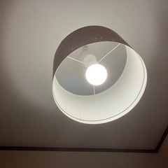 ★白熱電灯　コルクシェード「美品」の画像