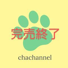 【決定完了】プロ業務用 【ゴリゴリ落ちます！】トイレ　洗面台　汚...