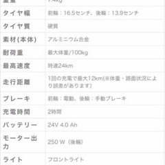 シティブリッツ　電動　キックボード　キックスクーターの画像