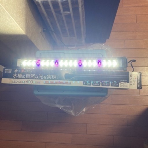 60センチコトブキLEDスリムライト