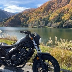 レブル250 ディアブロ ビキニカウル mc49の画像