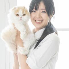 東区のペットシッターあいが留守中のペットのお世話を致します