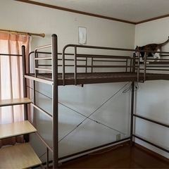 ロフトベット シングル