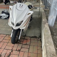 マジェスティの画像