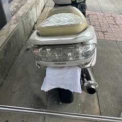 マジェスティの画像