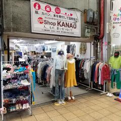 夏・秋もの古着が50円～毎日セール中！の画像