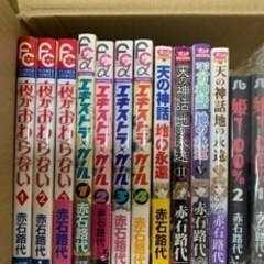 受け付け終了　少女コミック　116冊の画像