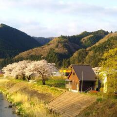 個室占い&電話占い − 茨城県