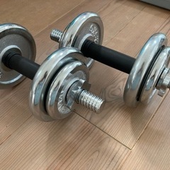 ダンベル20kgセット(片手10kg×2)クロームダンベルセット
