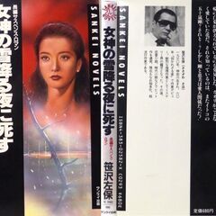 【ノベルズ古本】紙の本を読む　笹沢佐保「女神の雪降る夜に死す(１刷)」の画像