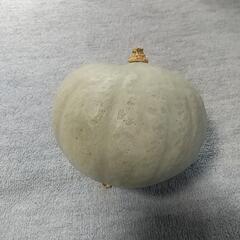 かぼちゃ100グラム当り25円の画像