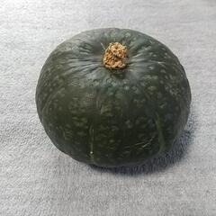 かぼちゃ100グラム当り25円の画像