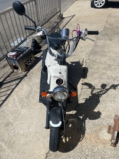 ホンダバイト‼️af59 白激レア‼️