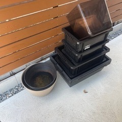 メダカ飼育容器　最終値下げ