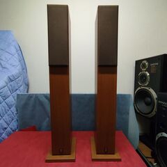 【ご予約済】　　　　　 NS-10MMFの画像