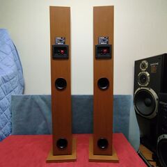 【ご予約済】　　　　　 NS-10MMFの画像