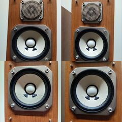 【ご予約済】　　　　　 NS-10MMFの画像